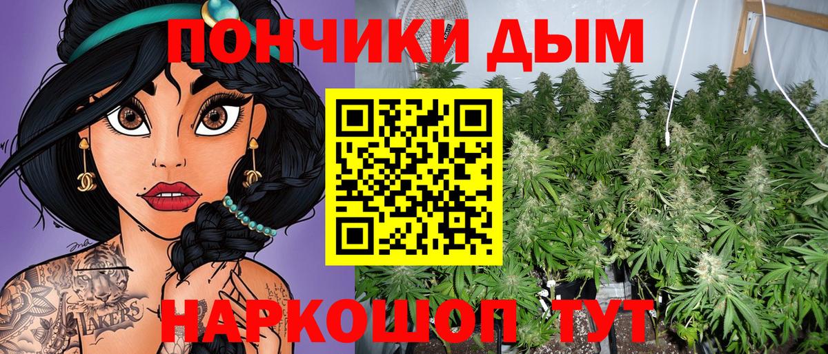 Чернушка  Шишки марихуана семена  Марихуана Amnesia  Каннабис индика  Бошки марихуана план  Вход с VPN 